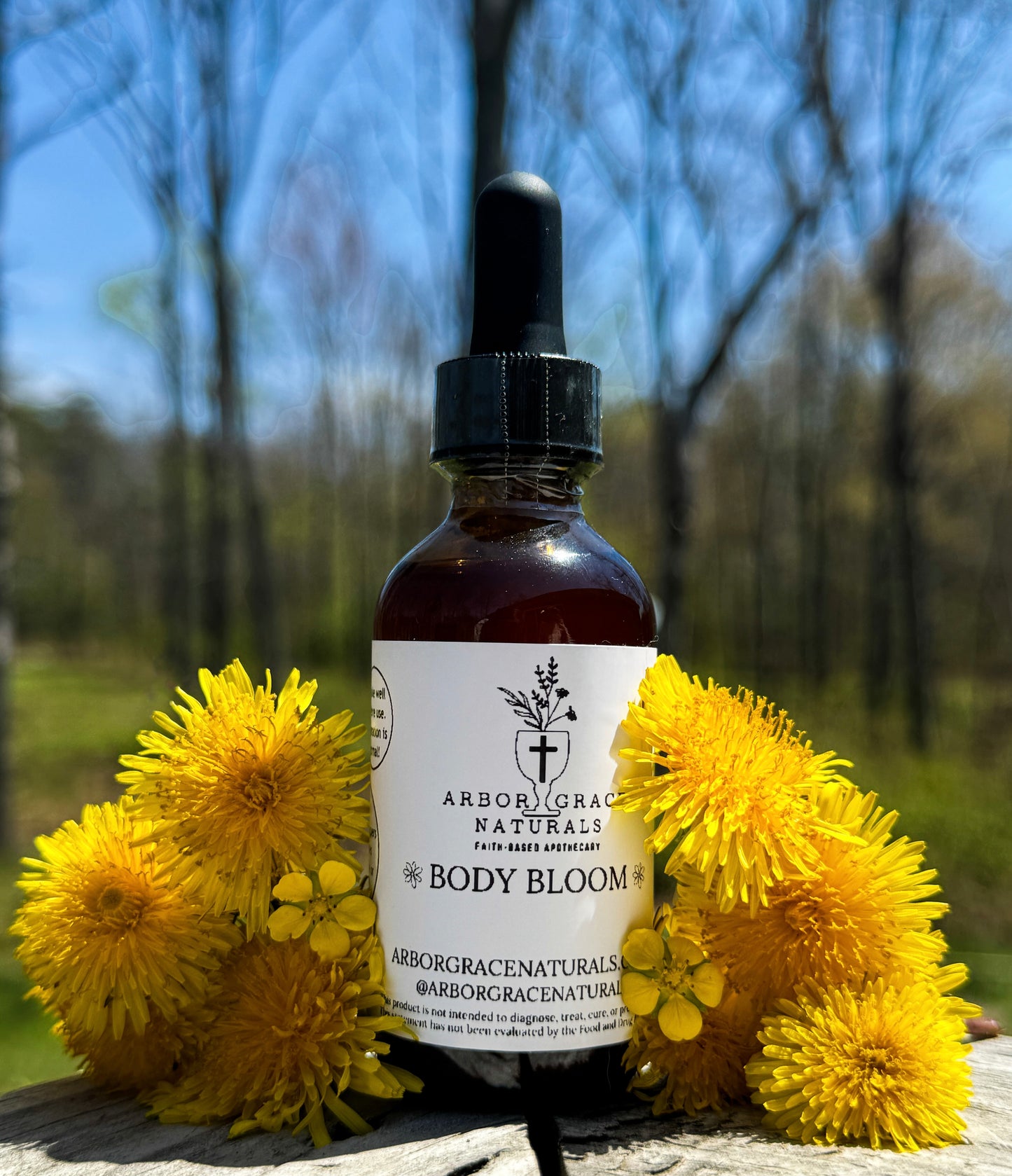 Body Bloom - Daily Wellness Tonic