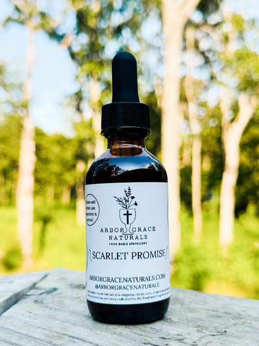 Scarlet Promise - Fast Heart Support